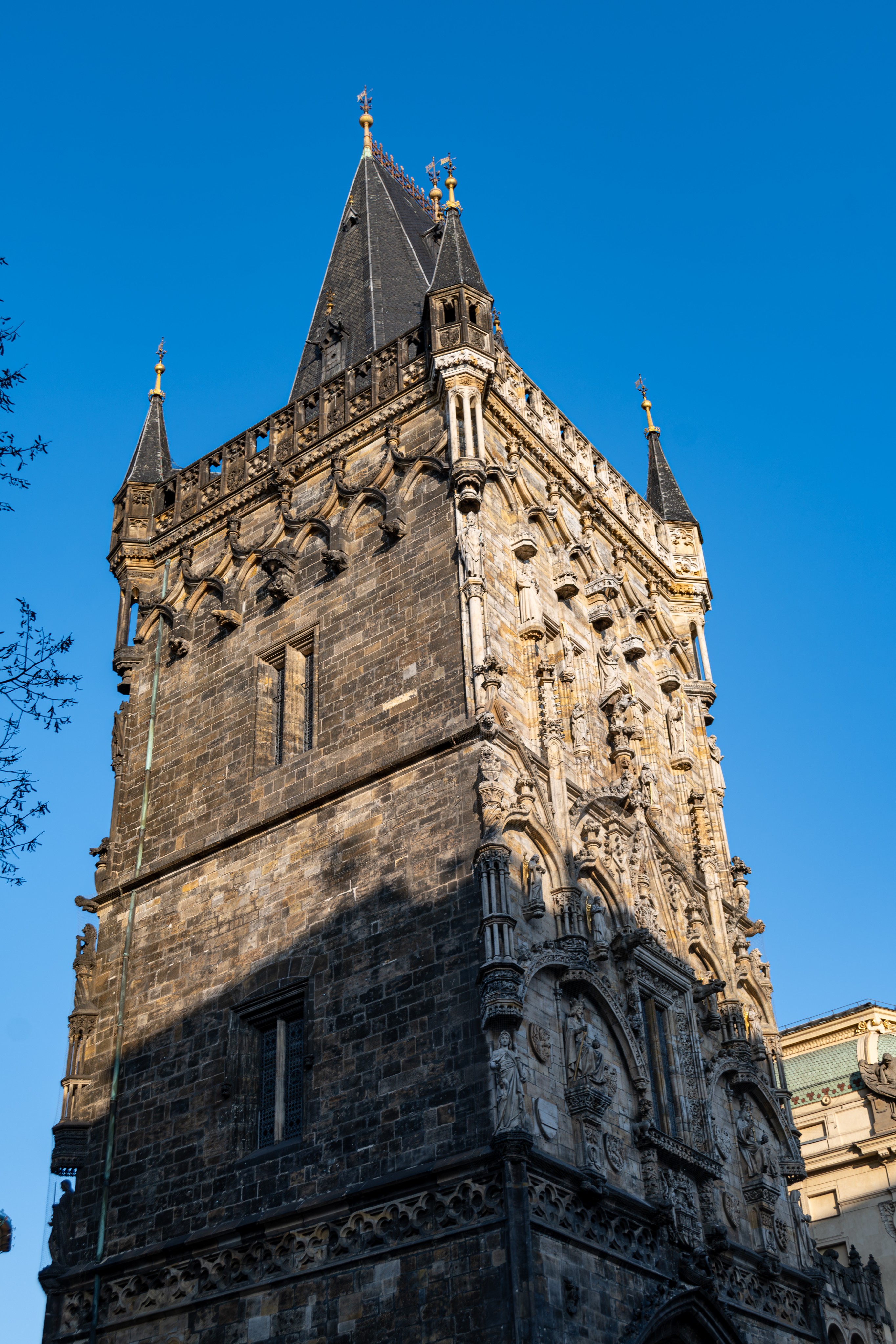 Photo 35